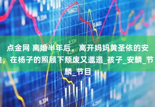 点金网 离婚半年后，离开妈妈黄圣依的安迪，在杨子的照顾下颓废又邋遢_孩子_安麟_节目