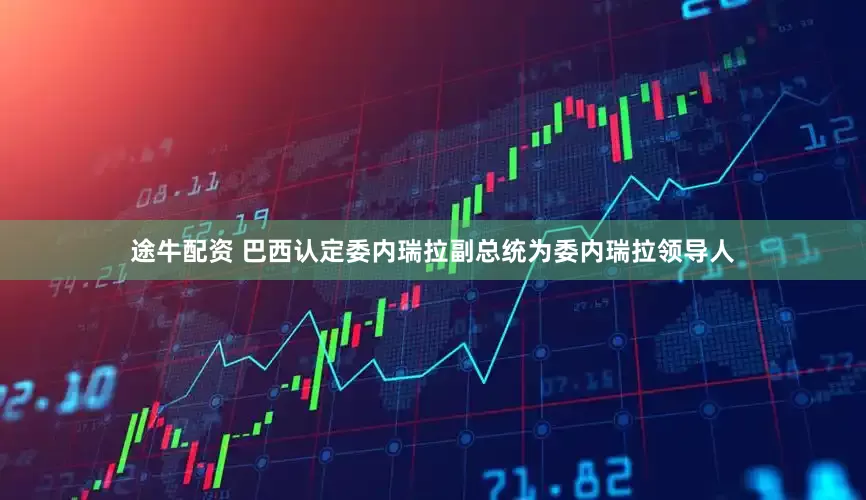 途牛配资 巴西认定委内瑞拉副总统为委内瑞拉领导人