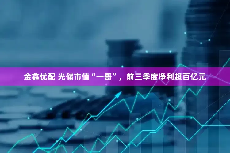 金鑫优配 光储市值“一哥”，前三季度净利超百亿元